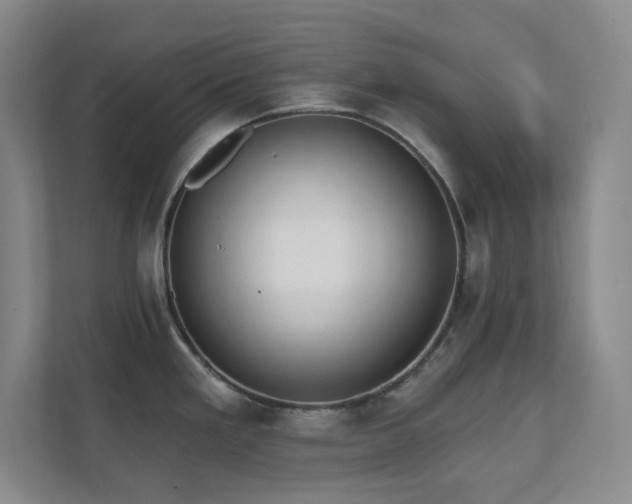 X0000112081293200908041246
