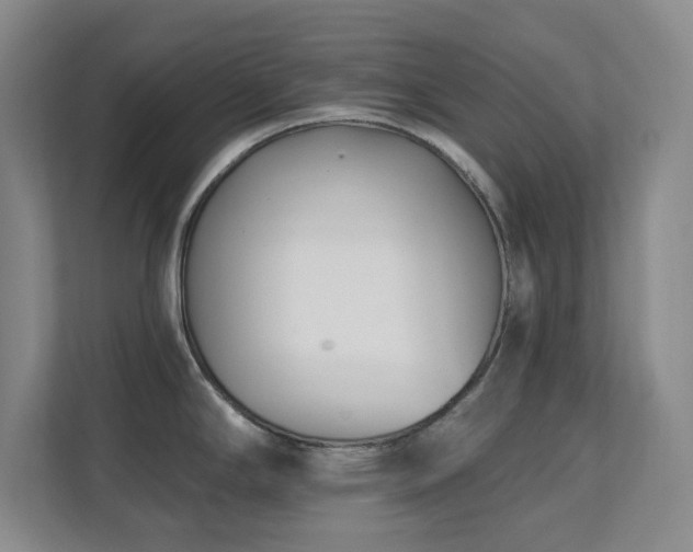 X0000112081294200908041246