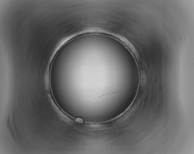 X0000112081295200908041246