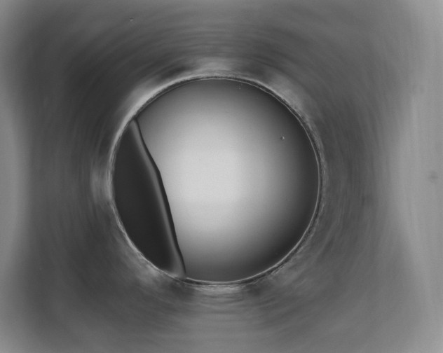 X0000112081296200908041246