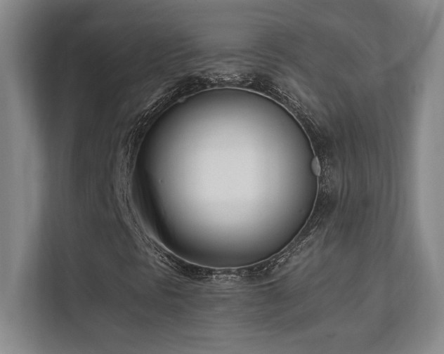 X0000112081297200908041246