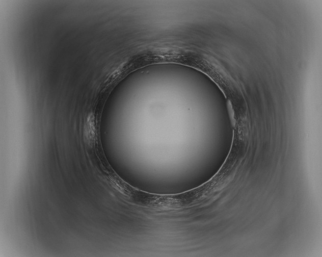 X0000112081298200908041246
