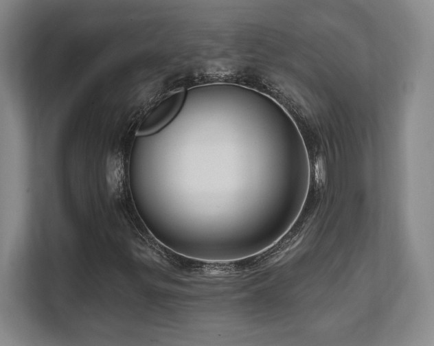 X0000112081299200908041246