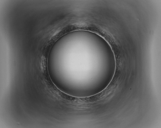 X0000112081301200908041246