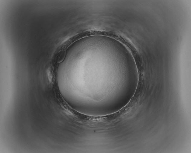 X0000112081303200908041246