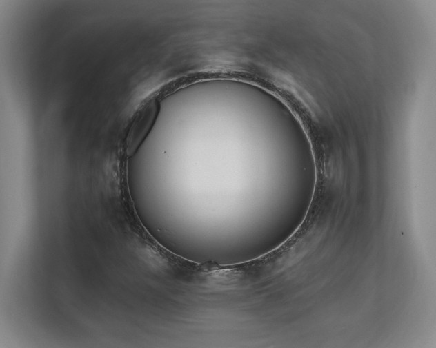 X0000112081304200908041246
