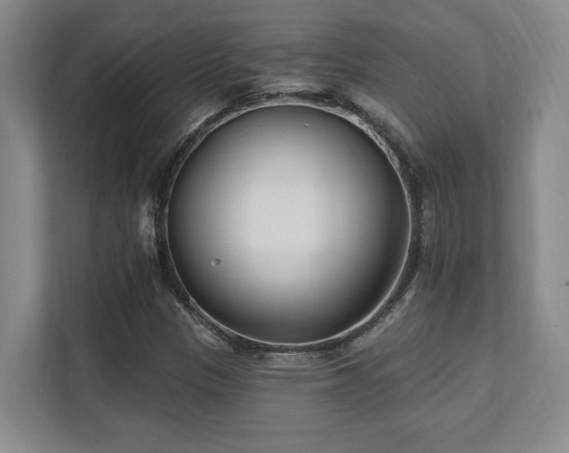 X0000112081305200908041246