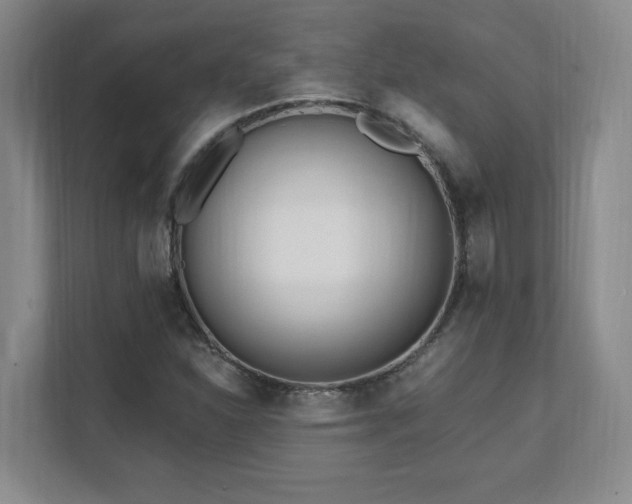 X0000112081310200908041246