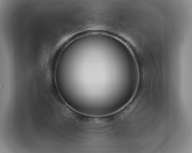 X0000112081311200908041246