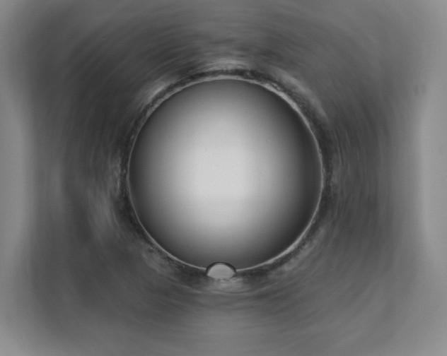 X0000112081313200908041246
