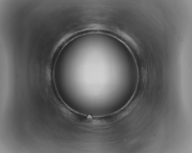 X0000112081318200908041246