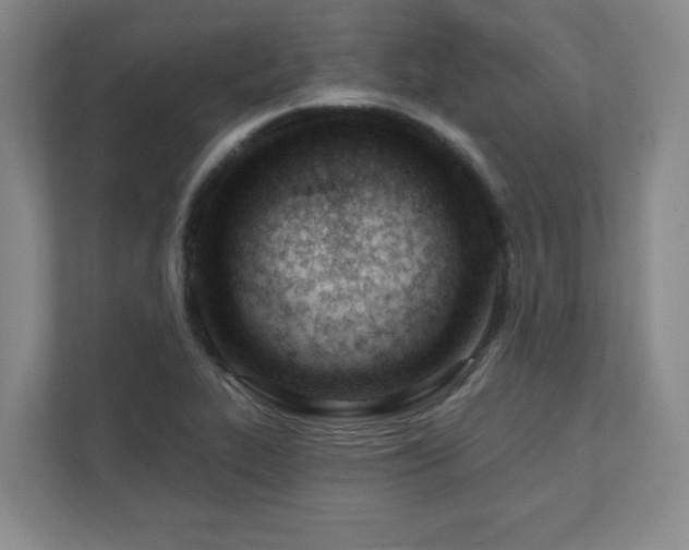 X0000112081319200908041246