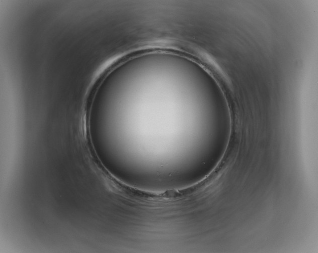 X0000112081320200908041246