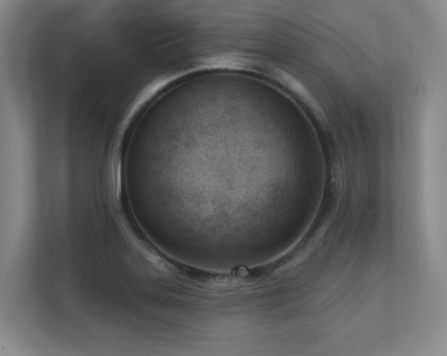 X0000112081323200908041246