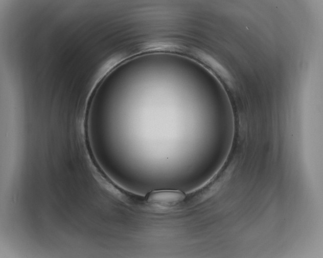 X0000112081330200908041246