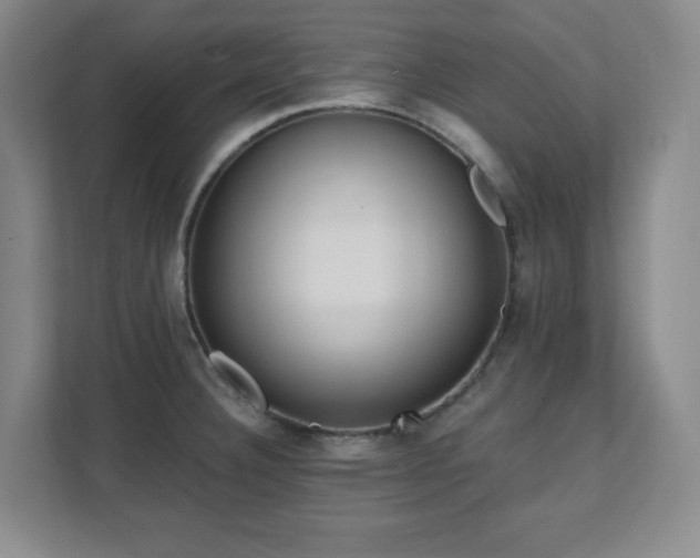 X0000112081332200908041246