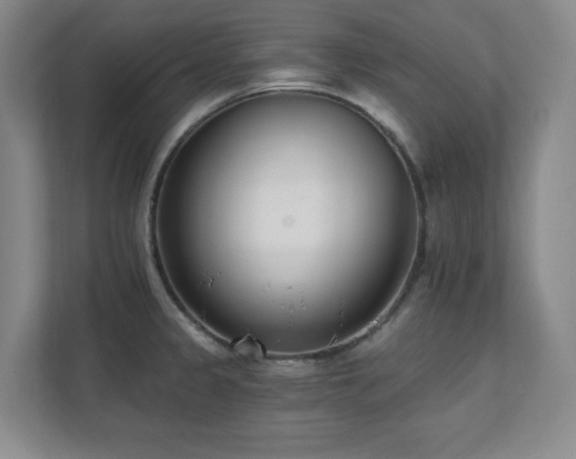 X0000112081333200908041246