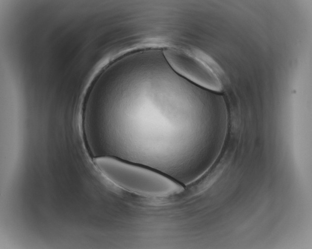 X0000112081334200908041246