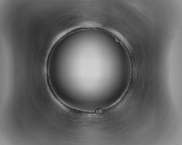 X0000112081335200908041246