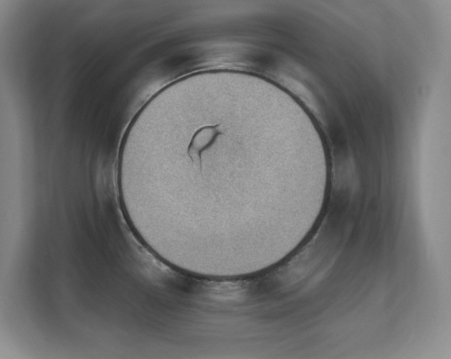 X0000112081338200908041246