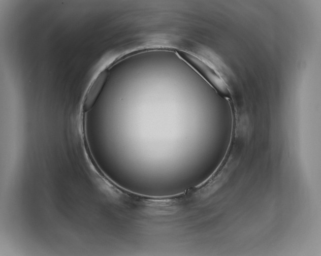 X0000112081342200908041246