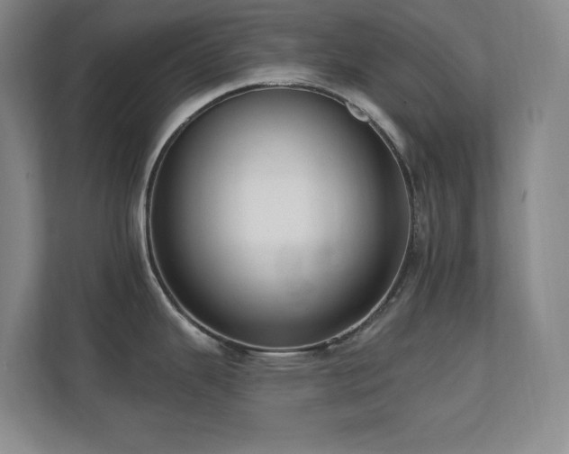 X0000112081343200908041246