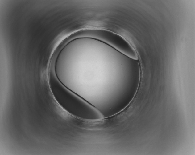 X0000112081344200908041246