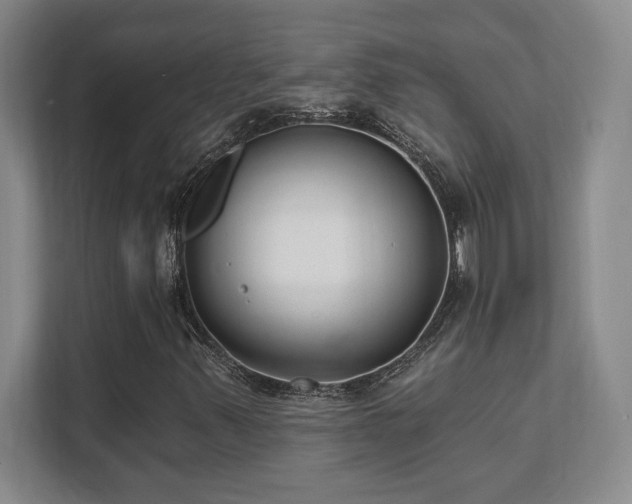 X0000112081347200908041246