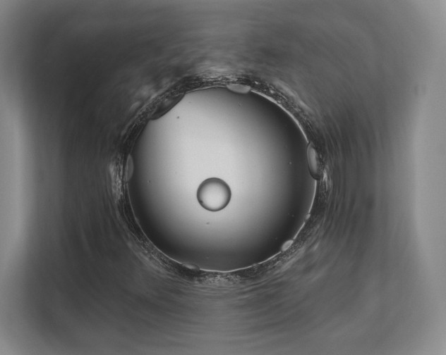 X0000112081348200908041246