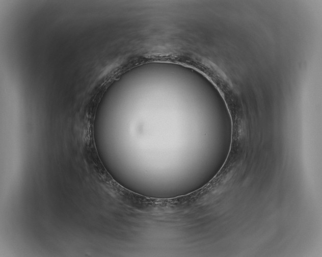 X0000112081350200908041246
