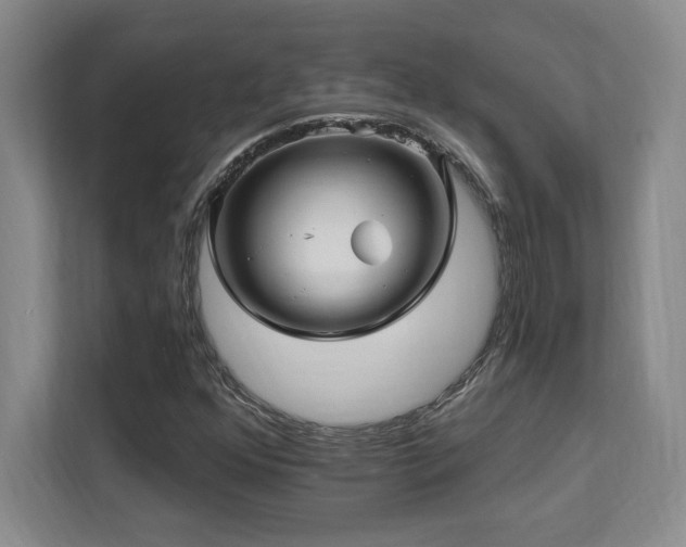 X0000112081352200908041246