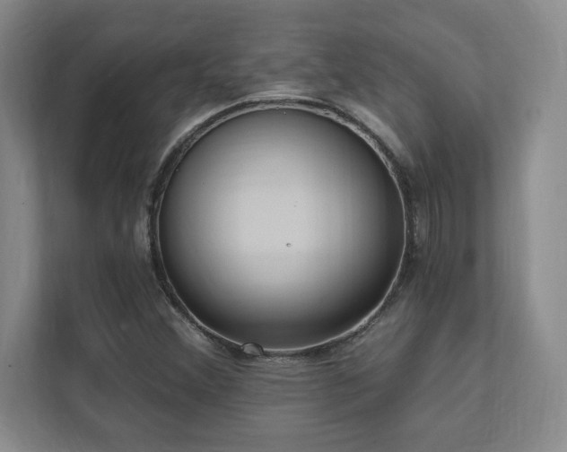 X0000112081356200908041245