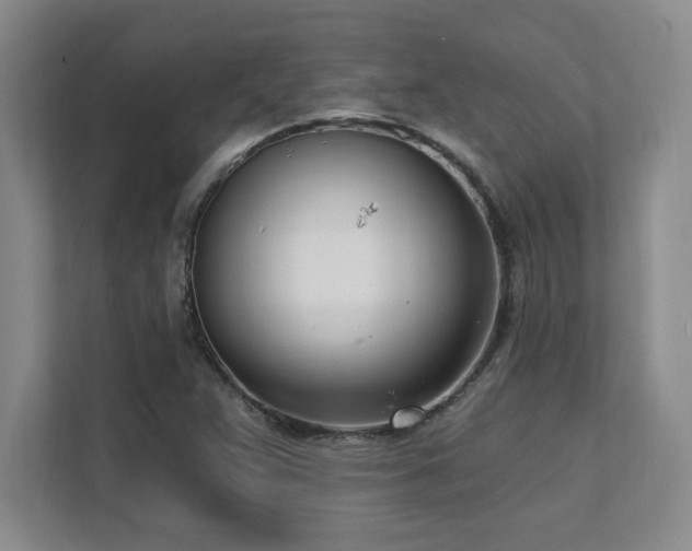 X0000112081359200908041245