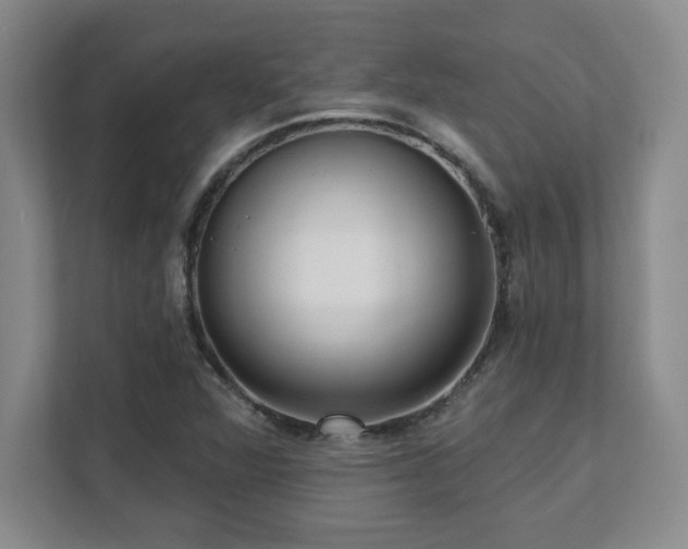 X0000112081360200908041245