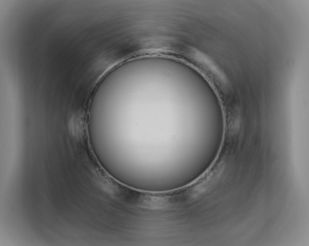 X0000112081361200908041245
