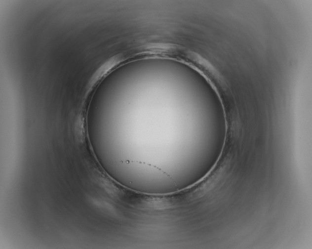 X0000112081362200908041245