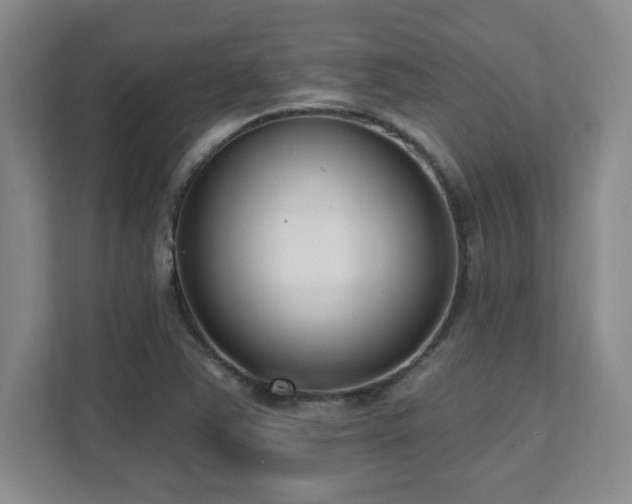 X0000112081363200908041245