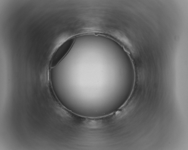X0000112081365200908041245