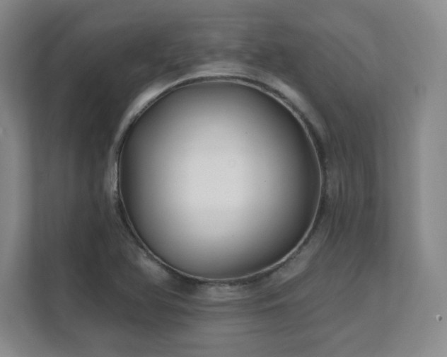 X0000112081366200908041245