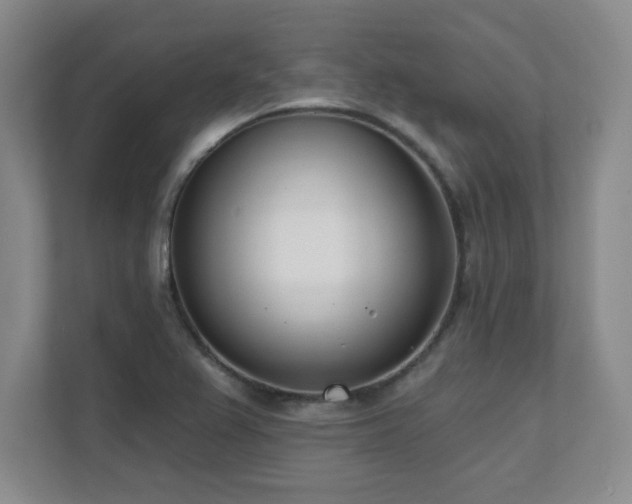 X0000112081367200908041245