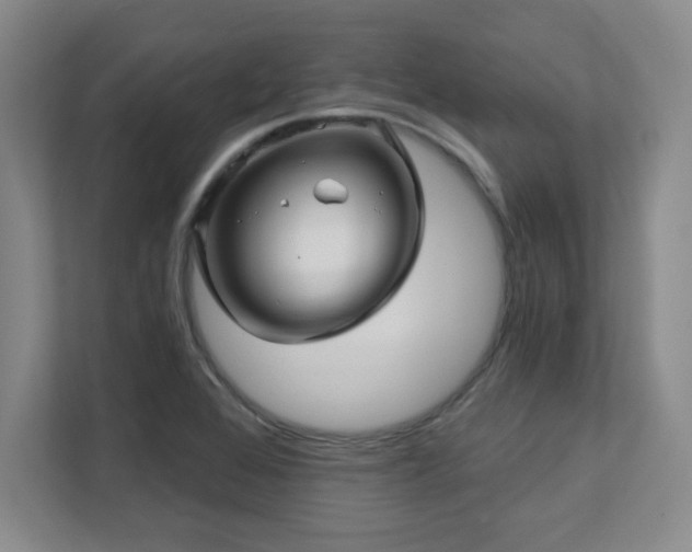 X0000112081368200908041245
