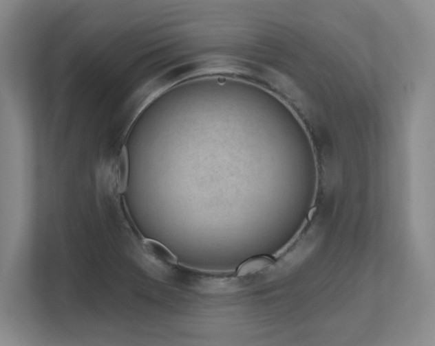 X0000112081369200908041245
