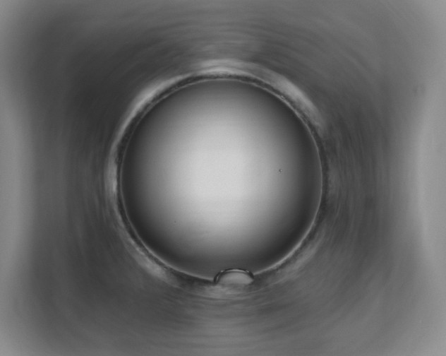X0000112081376200908041245