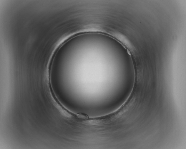 X0000112081380200908041245