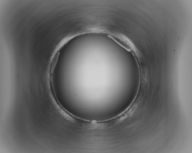 X0000112081381200908041245