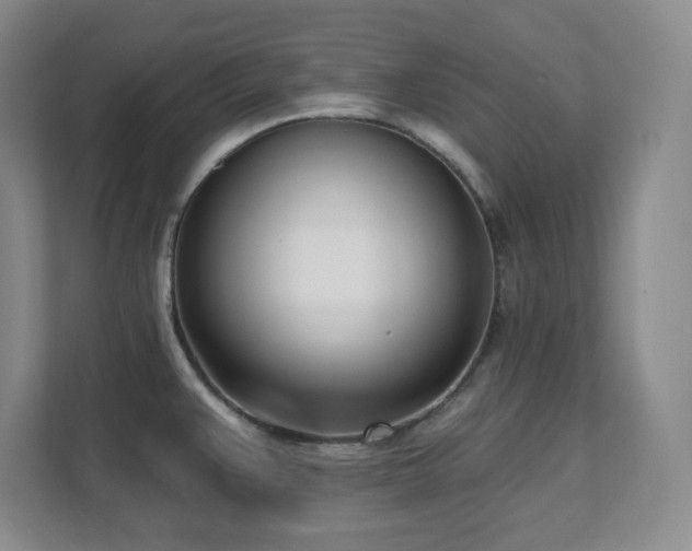 X0000112081383200908041245