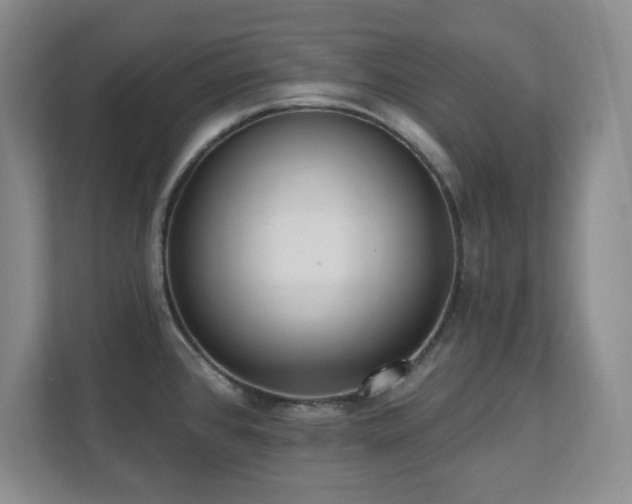 X0000112081384200908041245
