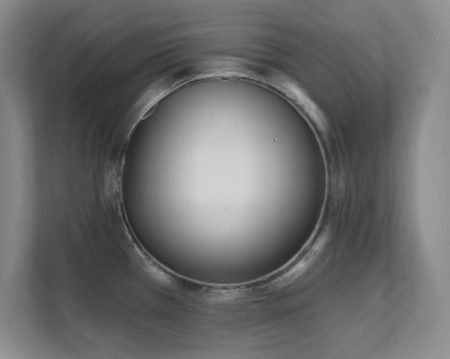 X0000112081385200908041245