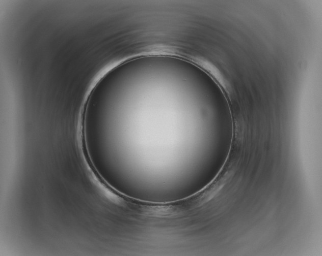 X0000112081387200908041245