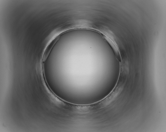 X0000112081389200908041245